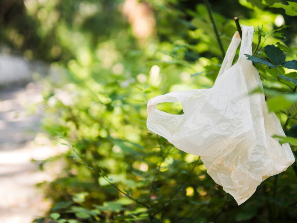 Plastic Bags