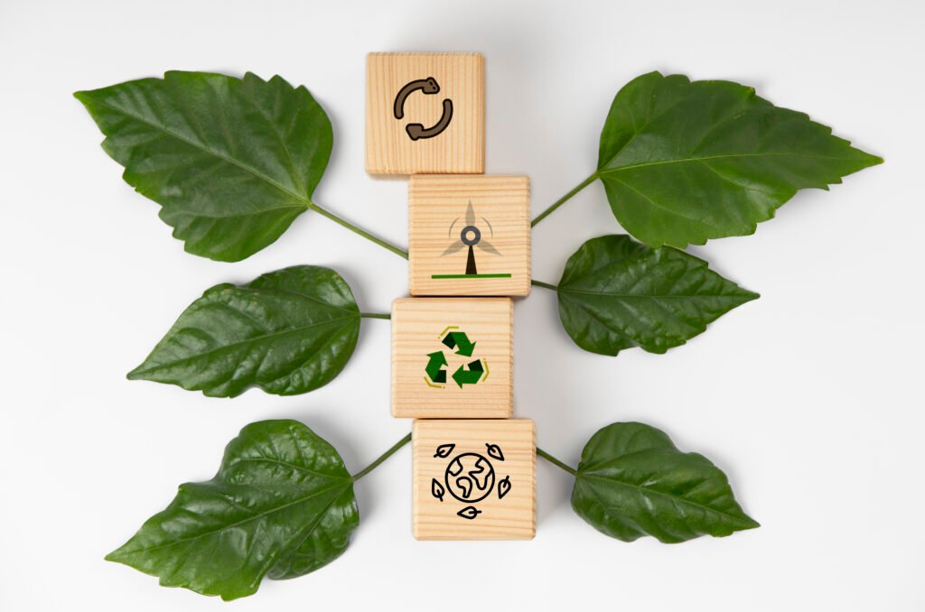 Biodegradable Product Lifecycle