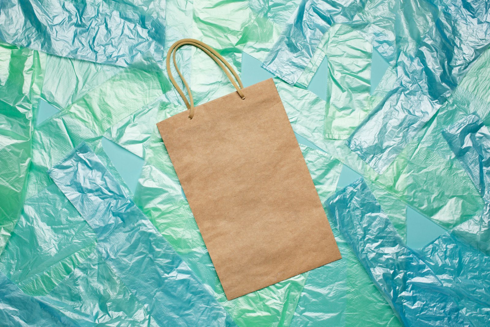 Biodegradable Carry Bags