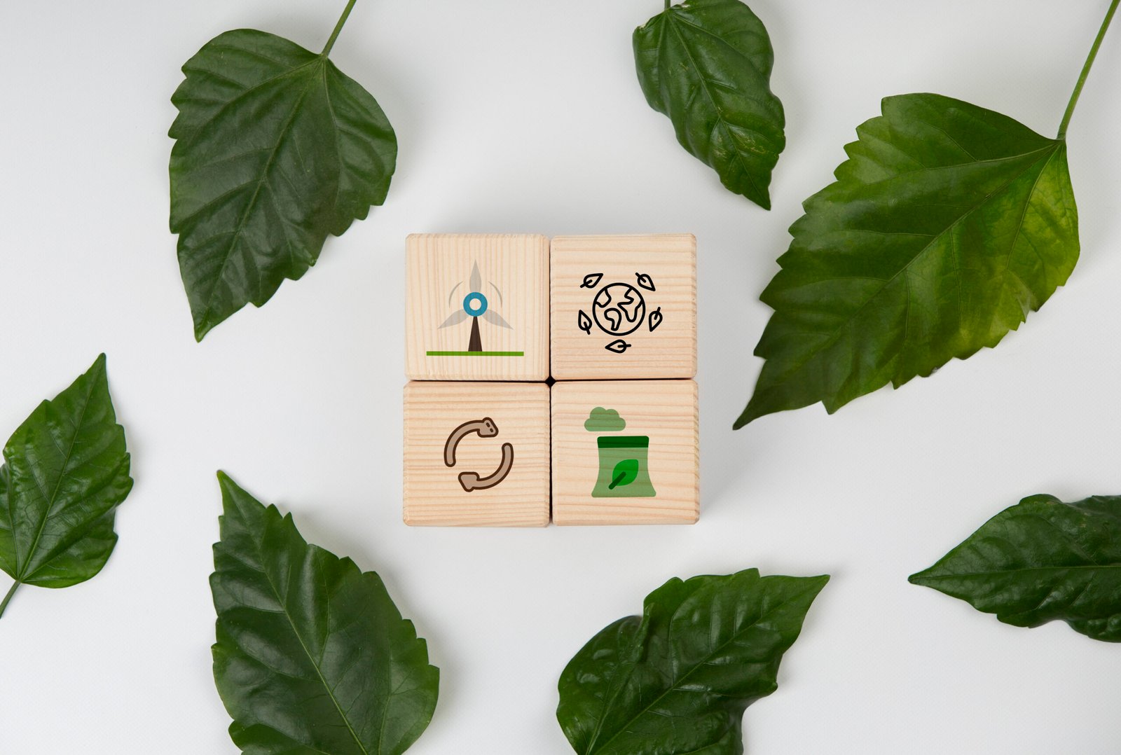 Eco Friendly Corporate Gifts Guide