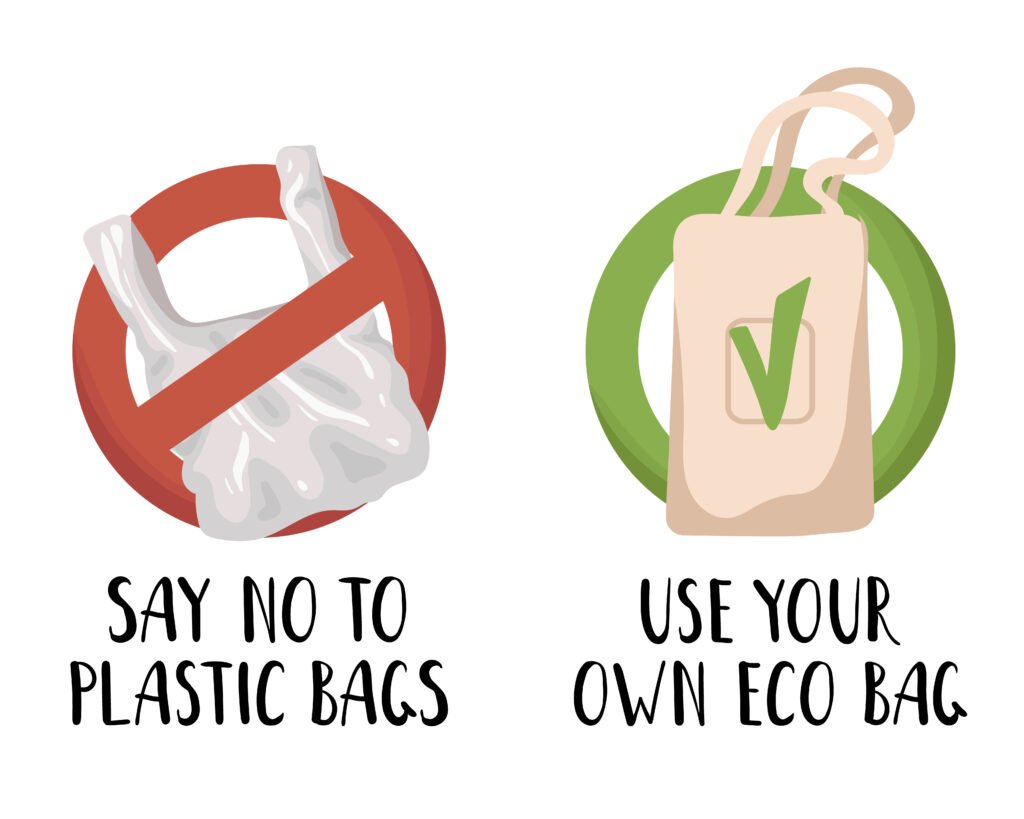 How Businesses Can Adapt to the Plastic Ban Without Losing Customers
