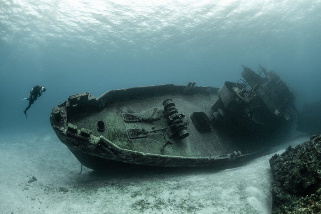 How Plastic Pollution in the Ocean Is Destroying Marine Life