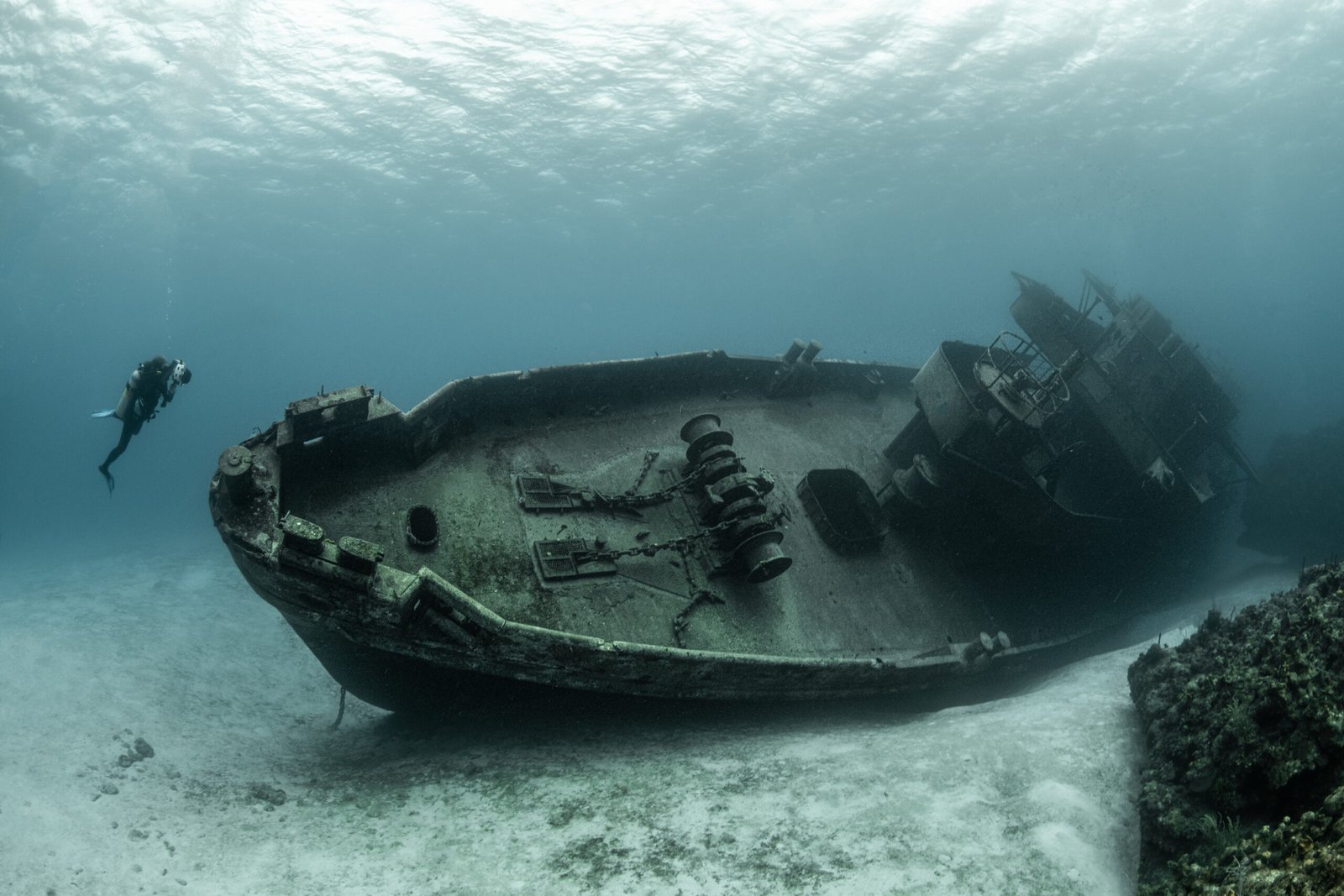 How Plastic Pollution in the Ocean Is Destroying Marine Life