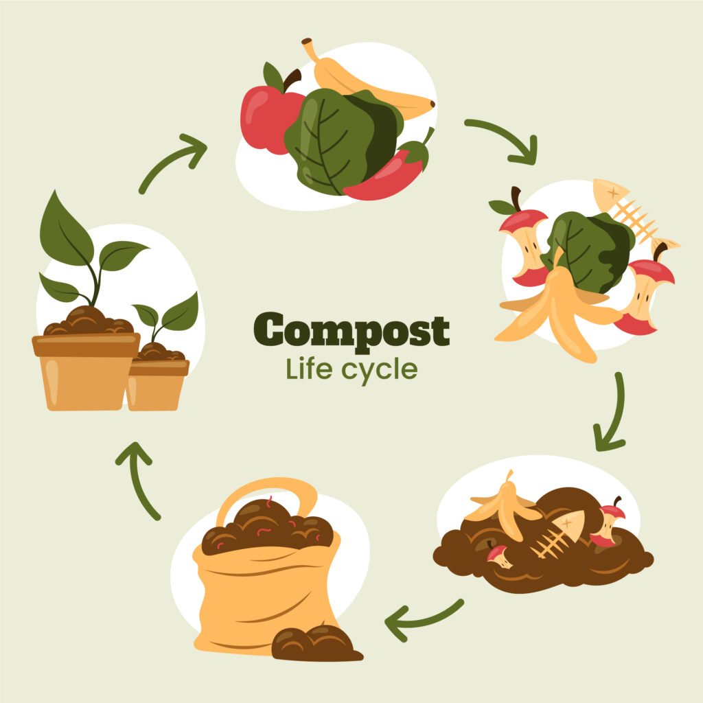 Step-by-Step Guide to the Compost Life Cycle