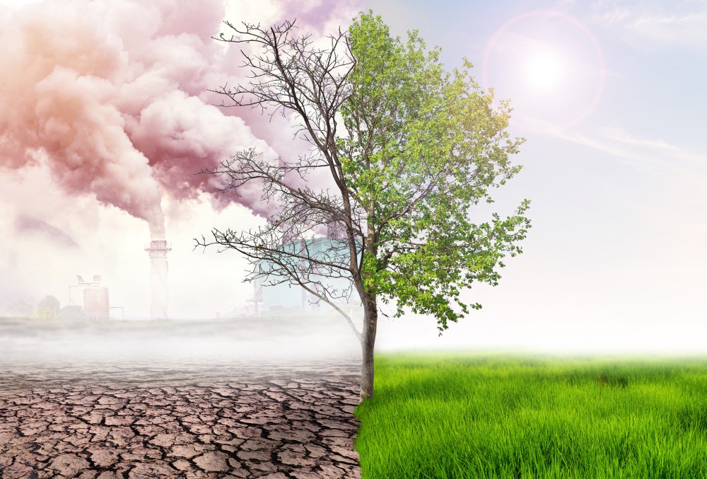How Can We Stop Climate Change
