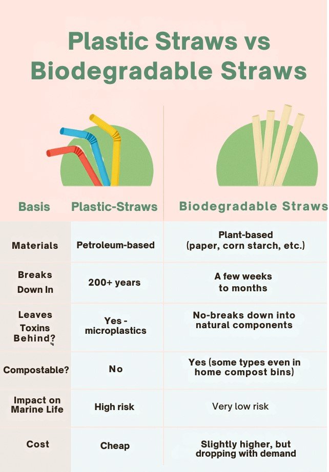 Plastic Straws vs Biodegradable Straws