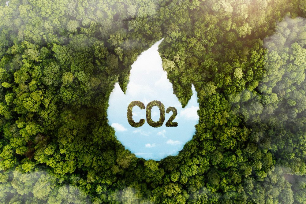 what is carbon footprint