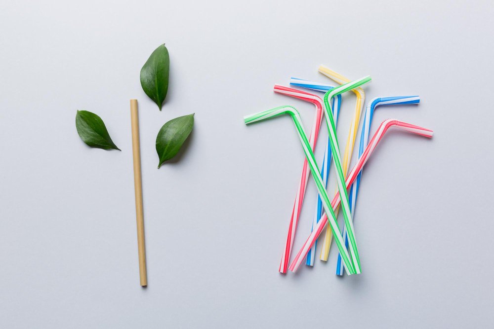 Eco-Friendly Plastic Straws Alternatives Guide