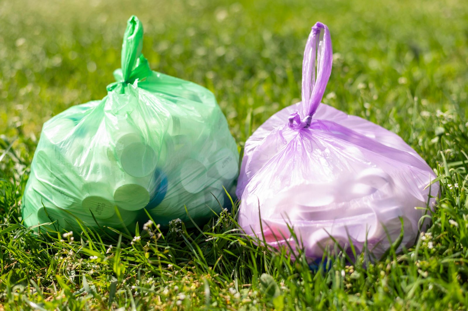 Can You Store PBAT Bags Long-Term? Shelf Life, Storage Tips, and Expiry