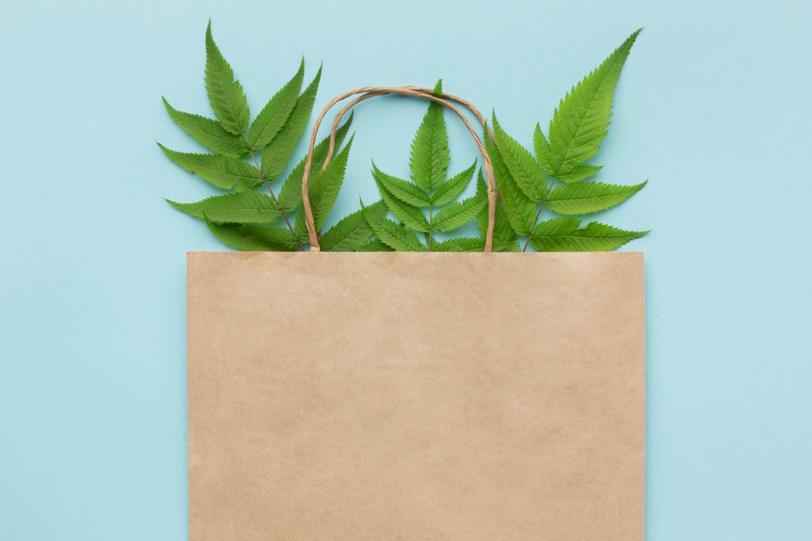 How to Identify Genuine Compostable Bags