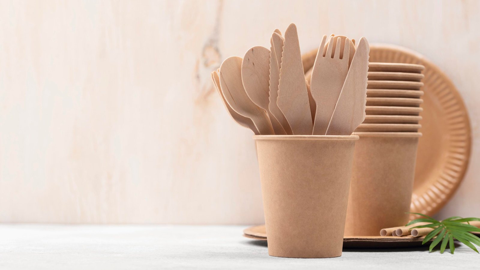 The Benefits of Using Bagasse Products for a Sustainable Future