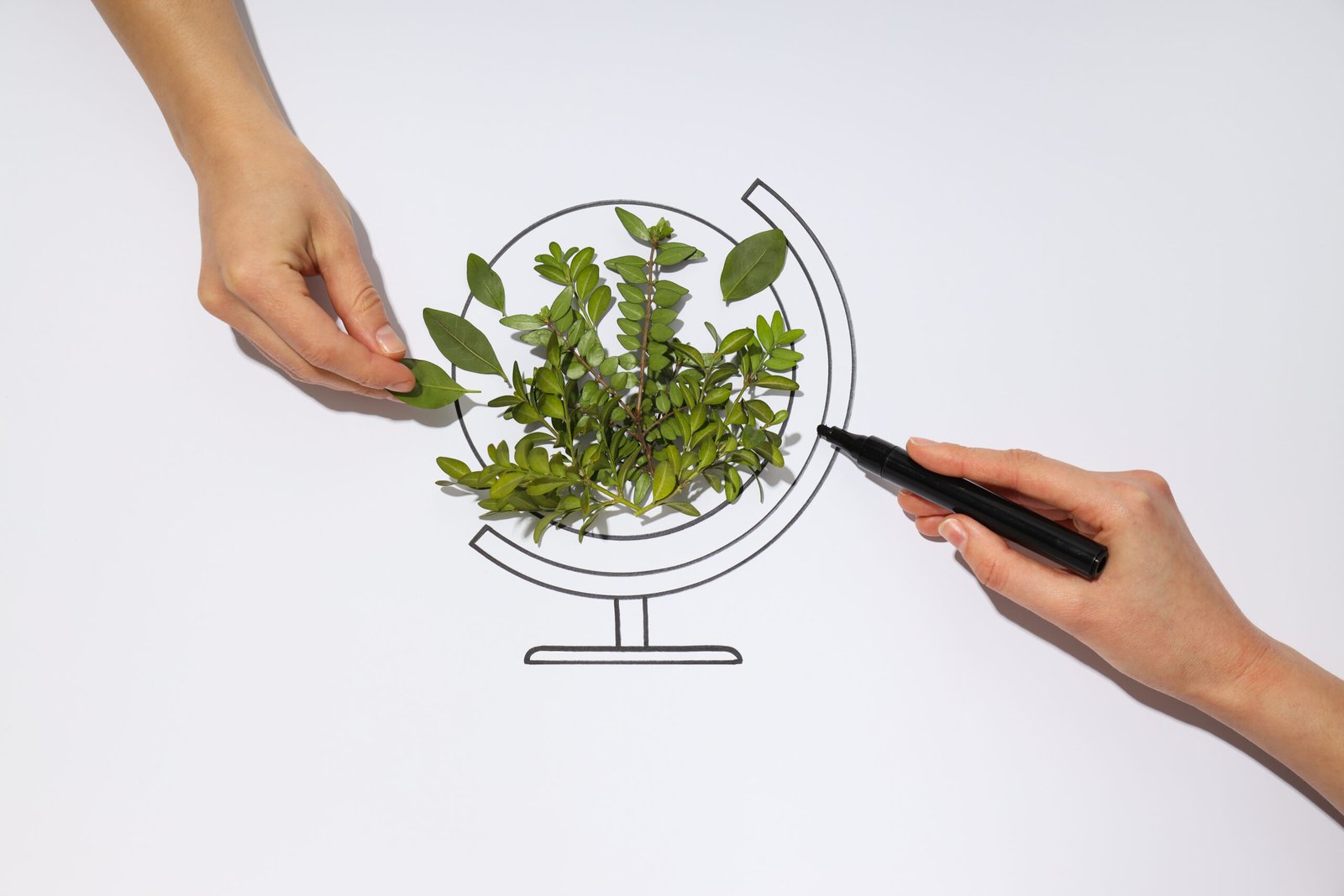 What is the Circular Carbon Economy Carbon Capture and Reuse